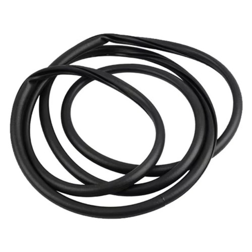 Sunroof glass weatherstrip - glass,
