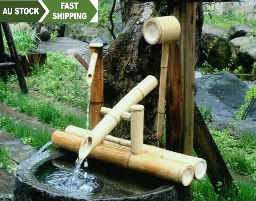 Bamboo accents water - bamboo, feature