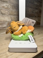 Pokemon Eevee Sleeping Key
