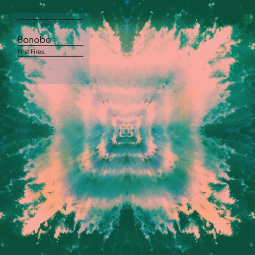 Bonobo first fires 12 - bonobo,