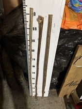 Hazel  Seasoned STICK WALKING