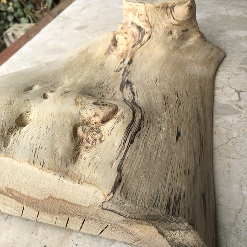 English oak live waney edge - live,