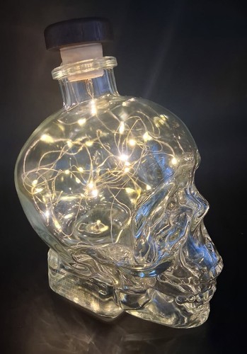 Empty crystal head vodka glass - head,