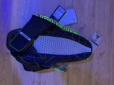 Dainese Back Protector 