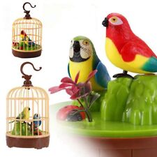 Sound Bird in Cage Singing &