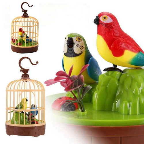 Sound bird cage singing - sound, &