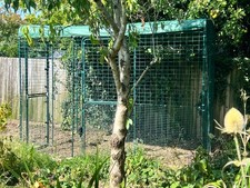 Omlet 3x2m walk in run 2x full height doors / roof and side covers RRP £992