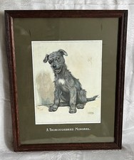 Vintage Cecil Aldin Framed And Mounted A Thoroughbred  Mongrel Dog Print