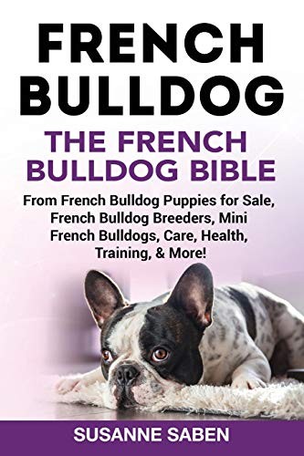 French bulldog the - french,