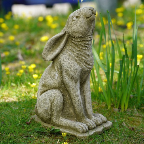 Large gazing hare stone statue - large,