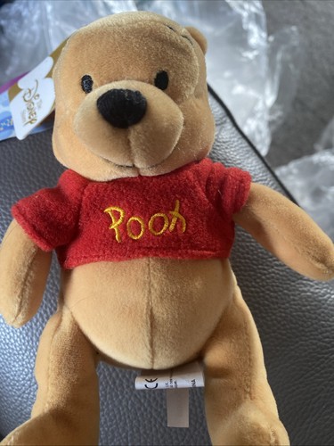 Winnie the pooh bear - winnie,