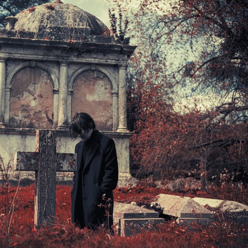 Steven wilson requiem for - wilson, a