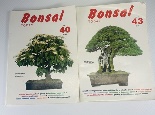 Bonsai today magazine - bonsai,