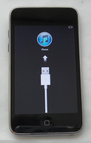 Apple ipod touch a1213 - apple, gb