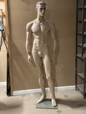 Full body male mannequin