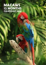 Macaws 2026 Calendars (A3)
