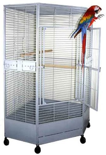 Extra large corner parrot - corner,