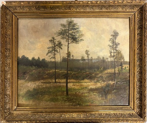 Bertha schrader dresden - schrader, forest