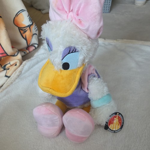 Daisy duck walt disney - daisy,