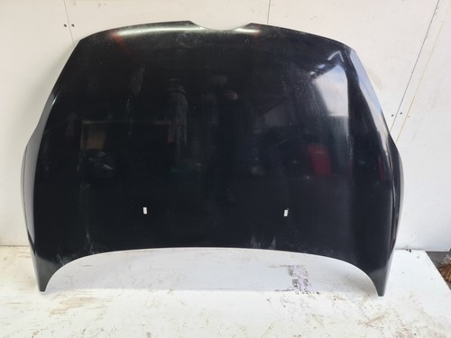 Ford fiesta bonnet - bonnet, panther
