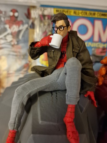 Sentinel spider man into the - sentinel,