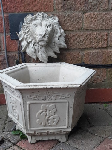 Lion head and - and, hexagon