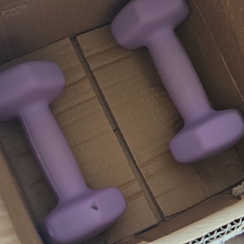 Purple hex dumbbells - dumbbells, pair