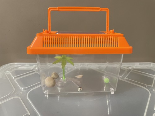 Tiny fish tank for - , baby
