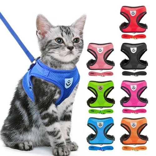Adjustable cat harness and - adjustable,