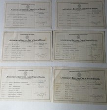 lot of 6 - AMERICAN KENNEL