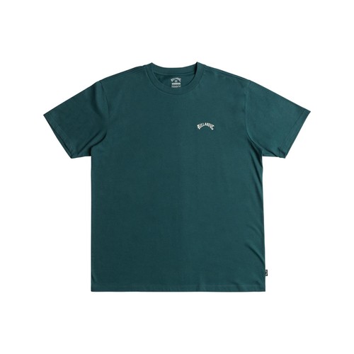 Billabong mens arch - mens, short