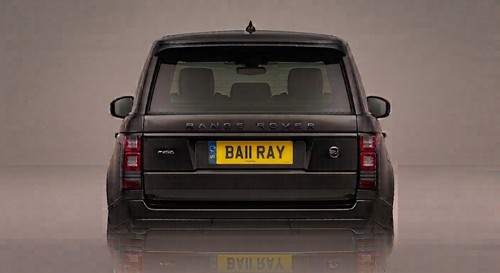 Ba11 ray private cherished - private,