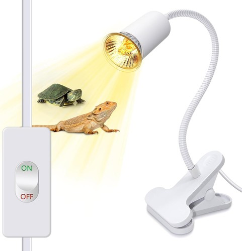 Tortoise heat lamp - tortoise,