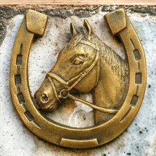 Horseshoe with a horse for