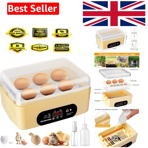 Chicken egg incubator - chicken,