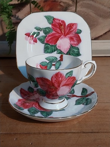 Vintage 1950s tuscan fine bone - tuscan,