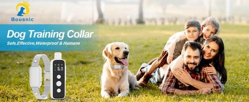 800m electric pet - electric,