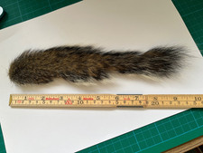 Natural (undyed) Squirrel tail