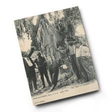 A6 PRINT - Vintage Florida USA