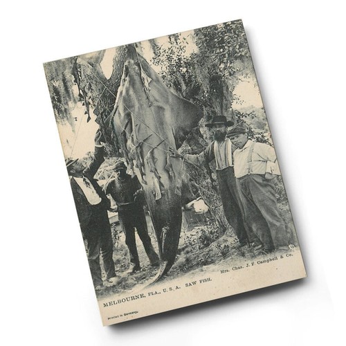 Print vintage florida usa - print,