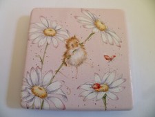 Wrendale Oops A Daisy Field Mouse Compact Mirror