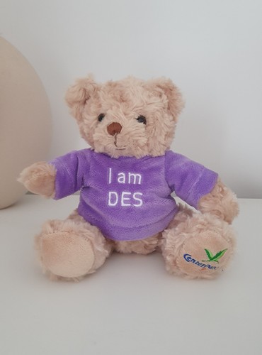 Des centre parcs teddy - des,