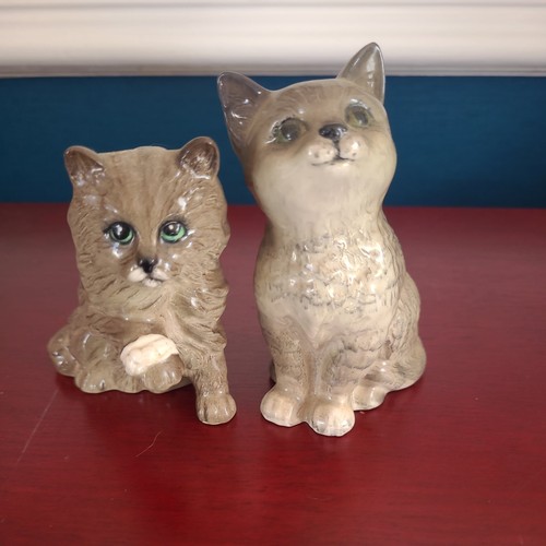 Royal doulton grey kittens - grey,