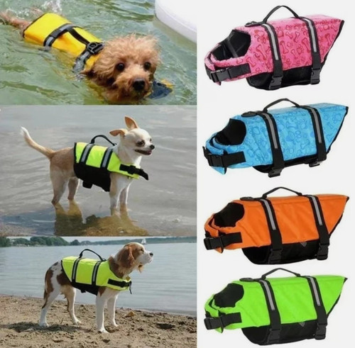 Dog life jacket pet - dog, safety