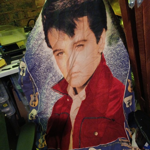 Elvis presley wall - elvis,