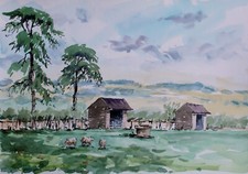 Shropshire sheep farming