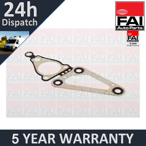 Timing case gasket - gasket, fai