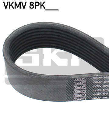 Ribbed belts for - v-ribbed,