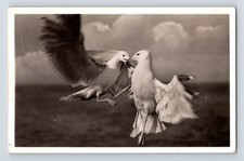 Military: German Feldpost