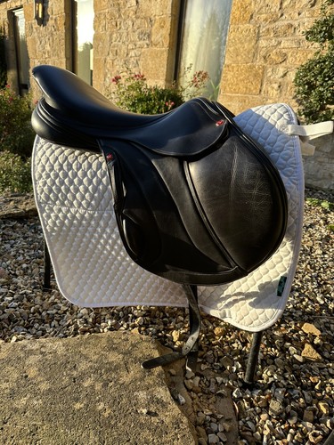 Albion revelation jump saddle - jump,